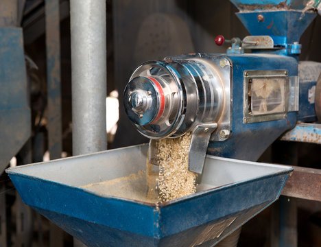 Manufacturing & Processing