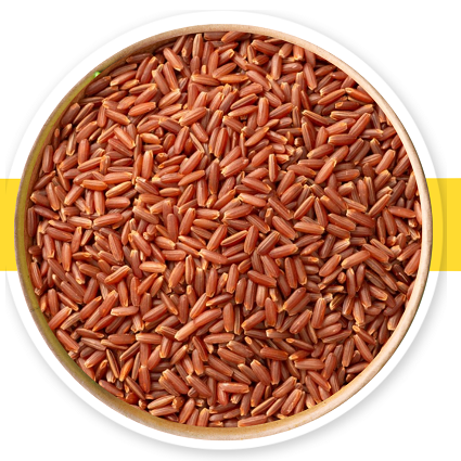 Red Rice manufacturer and exporter in India